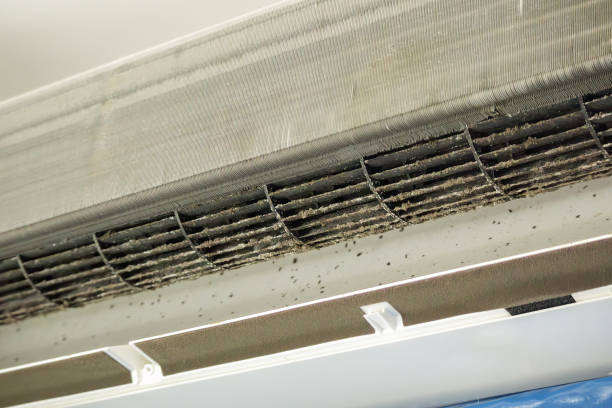 Ductwork Cleaning Services in Hollandale, MS